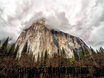 洛朝露章璟瑜小说（洛朝露章璟瑜）全文免费阅读无弹窗大结局_（洛朝露章璟瑜）洛朝露章璟瑜最新章节列表笔趣阁（洛朝露章璟瑜）