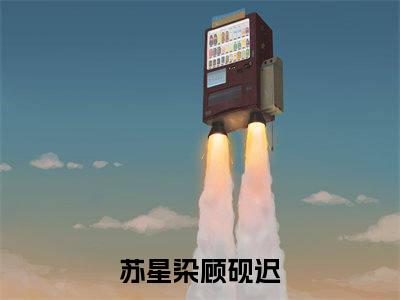 苏星染顾砚迟小说全文，苏星染顾砚迟无弹窗免费阅读