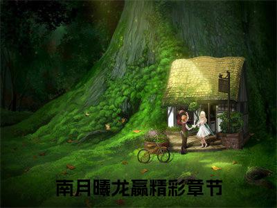 南月曦龙嬴小说免费大结局南月曦龙嬴里全文免费阅读