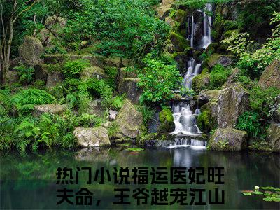 福运医妃旺夫命，王爷越宠江山越稳（沈冬素凌墨萧全章节完整版）免费阅读_（福运医妃旺夫命，王爷越宠江山越稳）全文无删减免费阅读（福运医妃旺夫命，王爷越宠江山越稳）