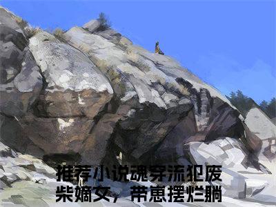 沈菲唐芝凌（魂穿流犯废柴嫡女，带崽摆烂躺赢）全文免费阅读_沈菲唐芝凌言诺诺，井傅宸小说最新章节列表笔趣阁