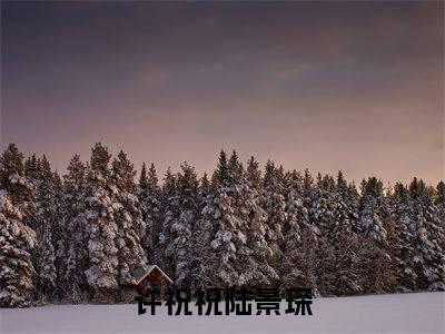 许祝祝陆景琛精彩章节小说-许祝祝陆景琛最新更新阅读