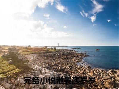 池晏颜岁岁全文热榜小说已完结-热门小说已更新池晏颜岁岁