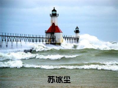 穿越女重生后，两任前夫都追来了（苏冰尘）全文免费阅读-穿越女重生后，两任前夫都追来了（苏冰尘）最新章节小说阅读