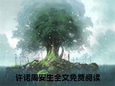 许诺周安生小说（许诺周安生）全文免费阅读-许诺周安生全文阅读无弹窗