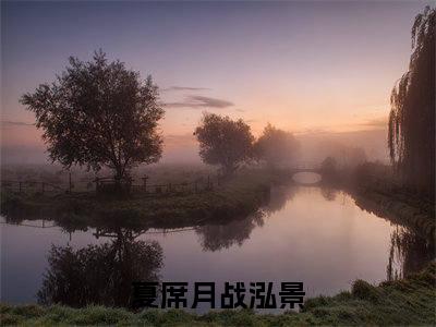 夏席月战泓景（夏席月战泓景）最新章节在线阅读-（夏席月战泓景）小说全文免费阅读