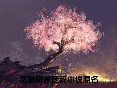 主角为沈聆听林彦辞的小说叫什么-最新小说全文阅读