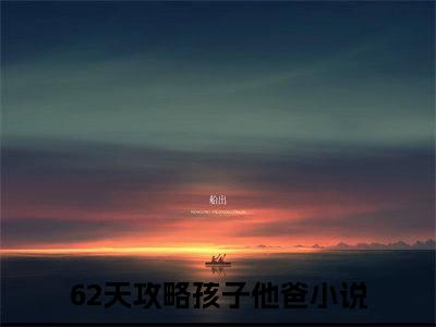 62天攻略孩子他爸小说全文免费阅读无弹窗大结局-钱星雯程明磊小说在哪里可以看