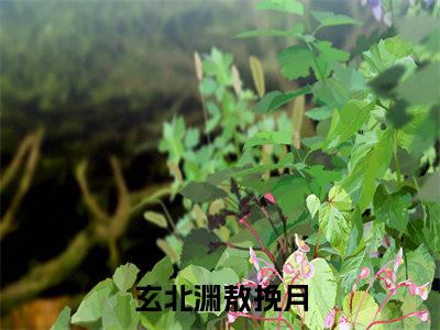 玄北渊敖挽月小说全文免费阅读_（玄北渊敖挽月）玄北渊敖挽月最新章节列表笔趣阁