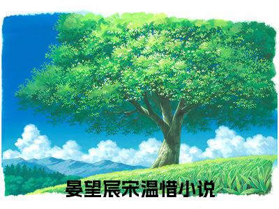 晏望宸宋温惜（晏望宸宋温惜）全文阅读完整版_晏望宸宋温惜（晏望宸宋温惜）小说免费阅读大结局无删减（晏望宸宋温惜）