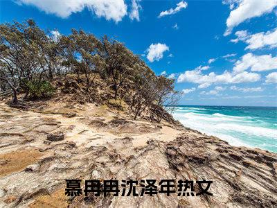 慕冉冉沈泽年（慕冉冉沈泽年）全文免费阅读_慕冉冉沈泽年最新章节列表_笔趣阁