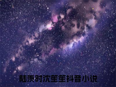 陆羡时沈笙笙小说已完结（陆羡时沈笙笙）全文免费阅读无弹窗大结局_陆羡时沈笙笙最新章节列表（陆羡时沈笙笙）