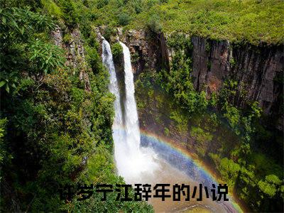 许岁宁江辞年小说大结局免费阅读（许岁宁江辞年）-完结版许岁宁江辞年小说推荐