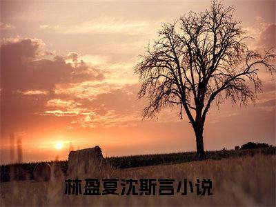 林盈夏沈斯言（林盈夏沈斯言）全文免费阅读无弹窗大结局_林盈夏沈斯言全文免费阅读（林盈夏沈斯言）最新章节列表_笔趣阁