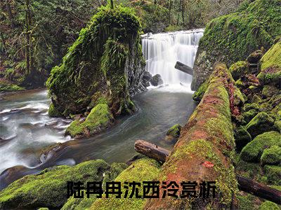 陆冉冉沈西泠（陆冉冉沈西泠免费小说）全文免费阅读无弹窗大结局_陆冉冉沈西泠免费小说最新章节列表_笔趣阁