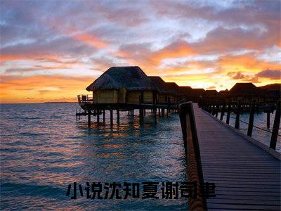 沈知夏谢司聿（沈知夏谢司聿）全文免费阅读无弹窗大结局_(沈知夏谢司聿)最新章节列表_笔趣阁