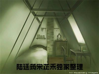 陆廷筠宋芷禾小说（陆廷筠宋芷禾）小说全文无删减版在线阅读_陆廷筠宋芷禾小说最新章节列表_笔趣阁