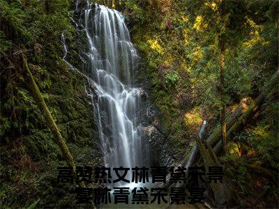 林青黛宋景宴林青黛宋景宴（林青黛宋景宴林青黛宋景宴）最新章节阅读-热点小说榜单推荐林青黛宋景宴林青黛宋景宴