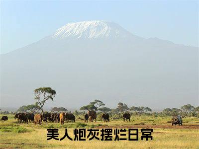 美人炮灰摆烂日常（顾宁宁沈确）完整版小说阅读_顾宁宁沈确全文免费阅读笔趣阁（美人炮灰摆烂日常）