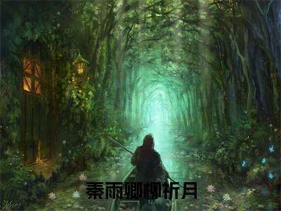 秦雨卿柳祈月（秦雨卿柳祈月）免费小说完整版阅读-（秦雨卿柳祈月）最新章节在线阅读