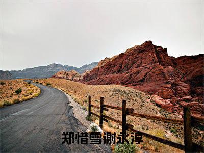 郑惜雪谢永淳（郑惜雪谢永淳）全文免费读无弹窗大结局_郑惜雪谢永淳免费小说无弹窗最新章节列表