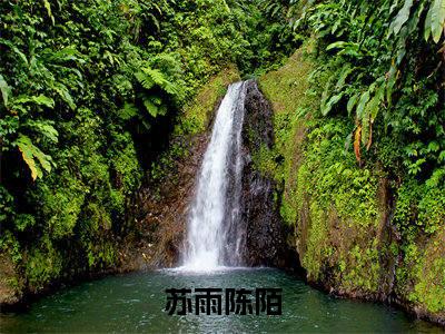 苏雨陈陌（苏雨陈陌）小说-苏雨陈陌小说免费阅读