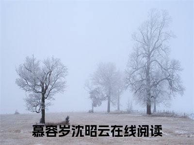 慕容岁沈昭云小说（慕容岁沈昭云）全文免费阅读无弹窗大结局_慕容岁沈昭云最新章节在线阅读_笔趣阁