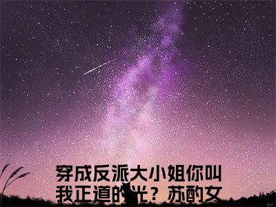 穿成反派大小姐你叫我正道的光？苏酌小说完整版大结局-穿成反派大小姐你叫我正道的光？苏酌小说完结版在线阅读