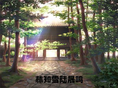 林知雪陆晟鸣全文免费在线阅读-林知雪陆晟鸣小说全文免费阅读无弹窗大结局