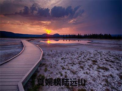 甜爆款小说夏婉枫陆远山-夏婉枫陆远山免费在线阅读