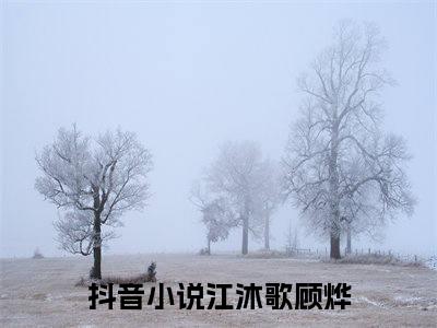 江沐歌顾烨江沐歌顾烨完结小说-江沐歌顾烨全文免费阅读无弹窗