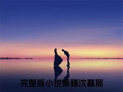 秦臻沈暮宸（秦臻沈暮宸）全文免费阅读无弹窗大结局_秦臻沈暮宸完整版小说阅读（秦臻沈暮宸）