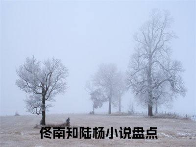 佟南知陆杨（佟南知陆杨）全文免费阅读无弹窗大结局_佟南知陆杨全文免费阅读最新章节列表_笔趣阁