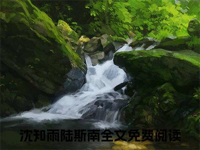 知雨思南是什么小说-（沈知雨陆斯南）知雨思南无弹窗免费阅读大结局最新章节列表_笔趣阁