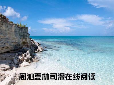 周沁夏林司深(周沁夏林司深)最新章节在线阅读-周沁夏林司深已完结全集大结局小说