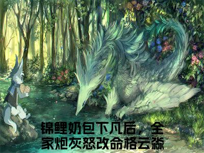 锦鲤奶包下凡后，全家炮灰怒改命格（云淼）小说全文免费_锦鲤奶包下凡后，全家炮灰怒改命格（云淼）最新章节目录笔趣阁