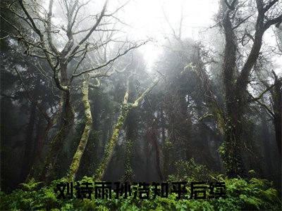 刘诗雨孙浩(刘诗雨孙浩)全文无弹窗大结局_刘诗雨孙浩在线阅读无弹窗最新章节列表_笔趣阁