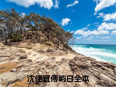 沈佳宜傅屿白（沈佳宜傅屿白）无广告免费阅读-沈佳宜傅屿白小说最后结局如何