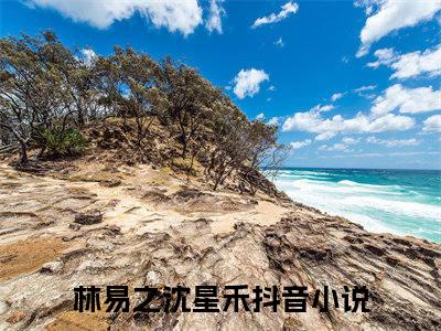 星河共赴全文免费阅读无弹窗大结局_星河共赴（林易之沈星禾）最新章节列表_笔趣阁