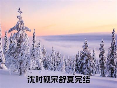 《热门小说沈时砚宋舒夏》最新章节by沈时砚宋舒夏完整版在线阅读