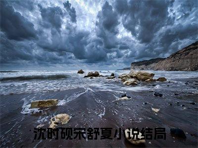 沈时砚宋舒夏（月光暗涌潮汐落）免费阅读完整版-（沈时砚宋舒夏小说）月光暗涌潮汐落全文大结局已完结