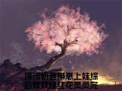 主角为顶流奶爸带崽上娃综后双双爆红花灵灵的小说-顶流奶爸带崽上娃综后双双爆红花灵灵小说全文免费阅读