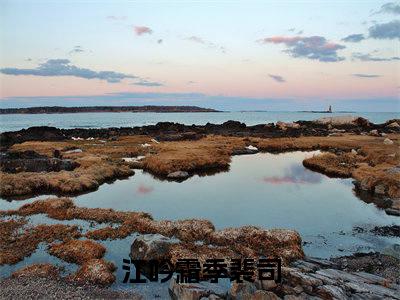 江吟霜季裴司（爱消失在海岸）全文免费阅读无弹窗大结局_江吟霜季裴司免费阅读无弹窗最新章节列表_笔趣阁（江吟霜季裴司）