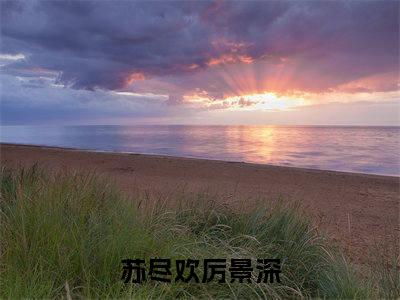 苏尽欢厉景深好书苏尽欢厉景深免费赏析-《苏尽欢厉景深》小说分享全集