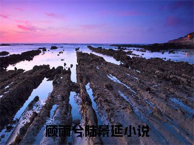 顾雨兮陆景延小说叫什么-顾雨兮陆景延全文阅读