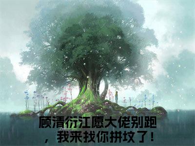 顾清衍江愿大佬别跑，我来找你拼坟了！小说全文在线阅读无弹窗大结局_（大佬别跑，我来找你拼坟了！全文在线阅读无弹窗）