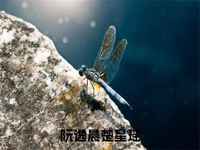 阮逸晨楚星瑶免费星辉摇落极光生读无弹窗最新章节列表_笔趣阁（阮逸晨楚星瑶）