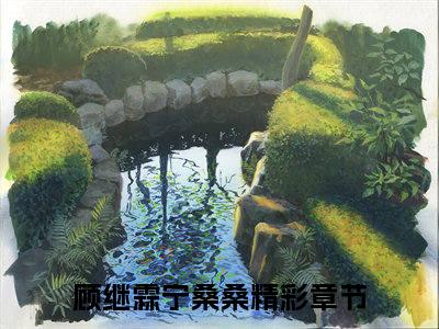 抖音新书热荐小说（顾继霖宁桑桑）主角是（顾继霖宁桑桑）小说免费阅读小说无弹窗阅读_笔趣阁