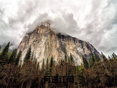 残梦离殇雨全文免费在线阅读_（残梦离殇雨免费阅读无弹窗）何进江雨全文免费完结版阅读