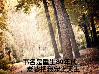 私藏读物《重生80年代，老婆把我宠上天王旭》小说全文免费阅读-微小说（重生80年代，老婆把我宠上天王旭）完整版阅读